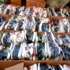 Authentic Mixed Sports Shoes